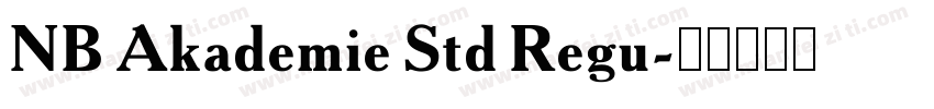 NB Akademie Std Regu字体转换